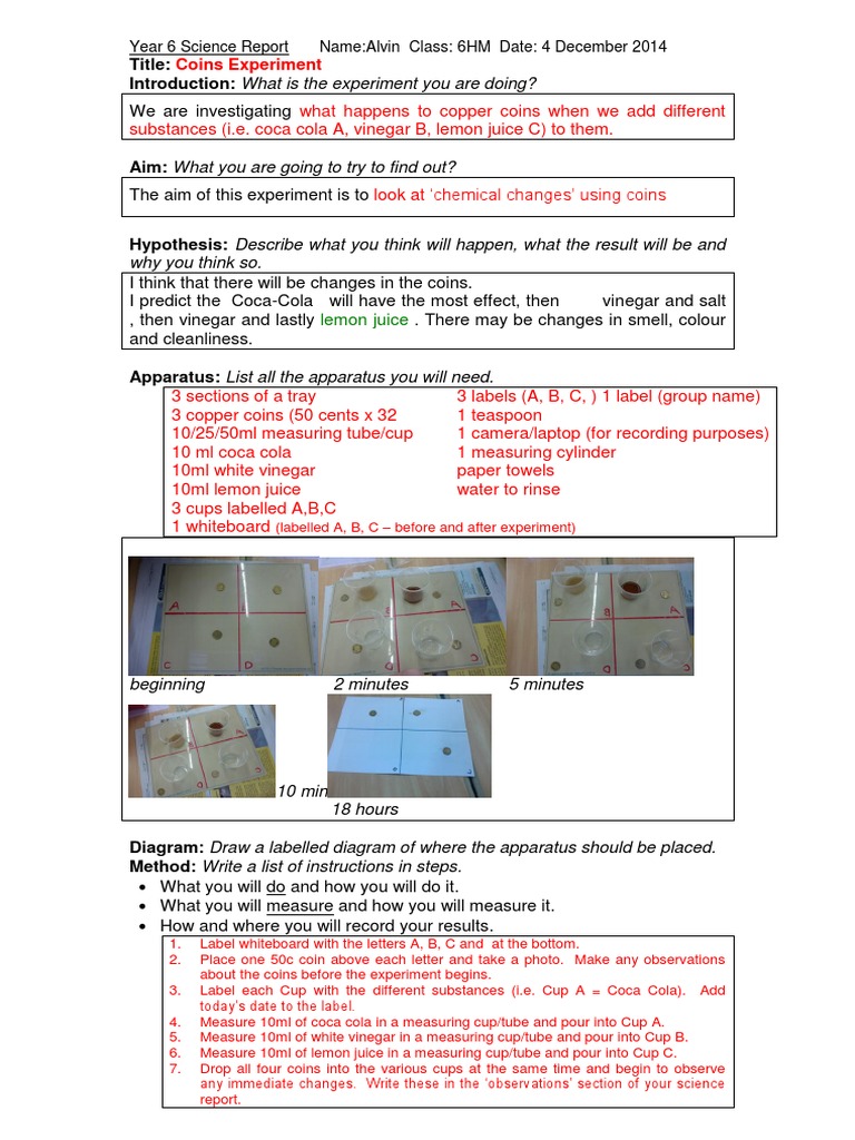 Science Report For Coins Rotation | PDF | Experiment | Science