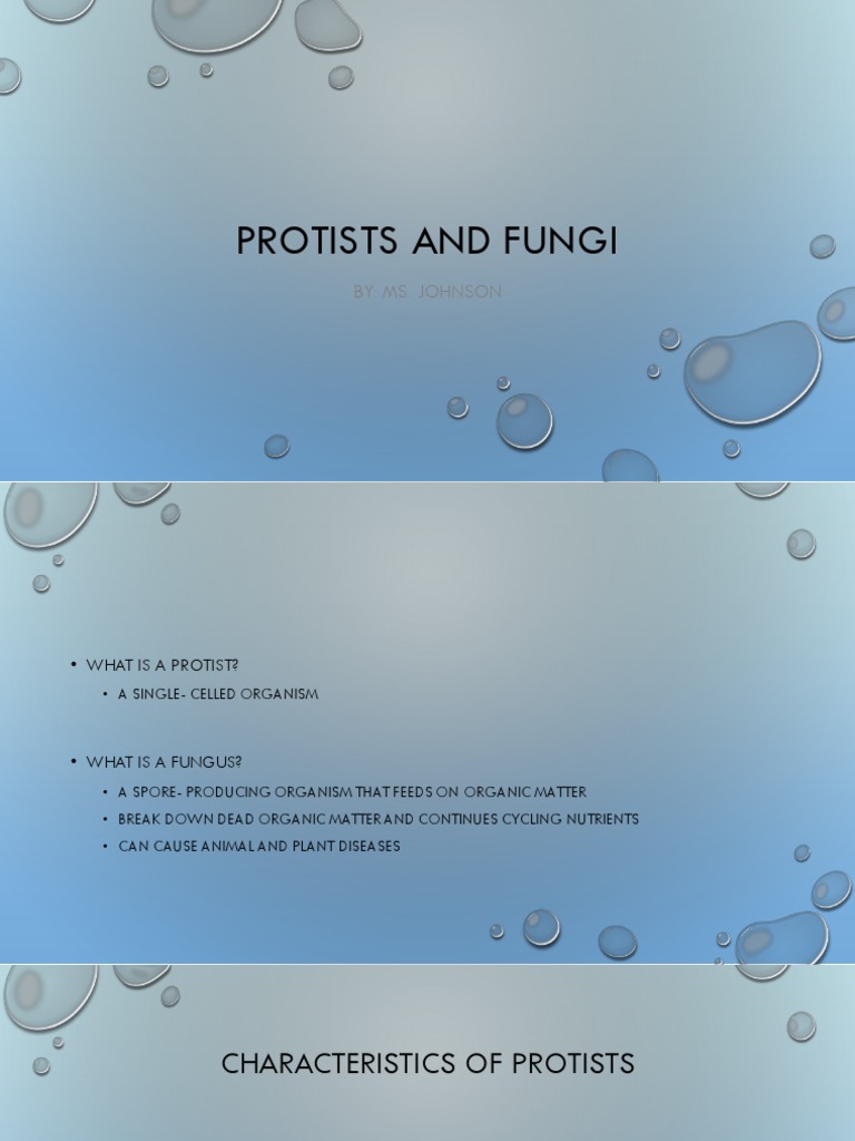 Johnsonb Protists and Fungi | PDF | Fungus | Eukaryotes