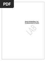 Download Oracle GoldenGate 11g Lab by boualemini SN250231006 doc pdf