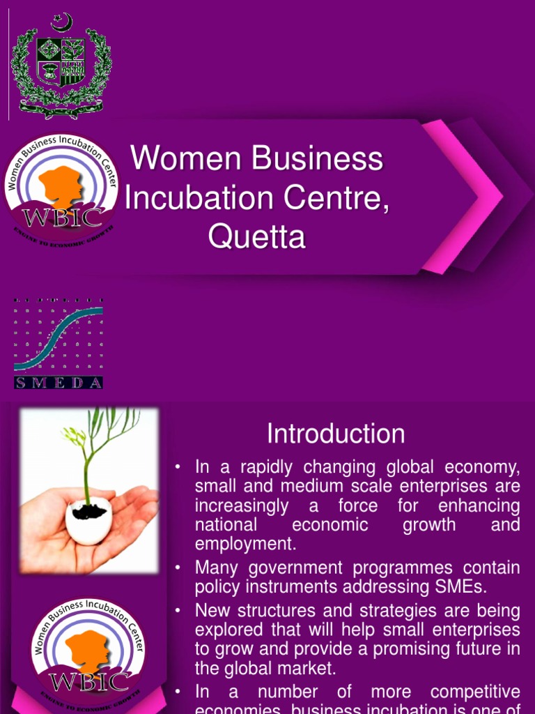 Women Business Incubation Centre, Quetta PDF Business Incubator