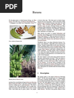 Download Banana by thippli SN250242487 doc pdf