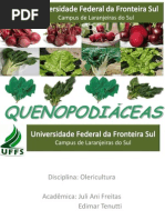 QUENOPODIÁCEAS - Olericultura