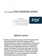 Fotosintesis Bakteri Aerob