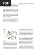 Download Makalah Buah Dan Biji by Arinda Dinning Staria SN250251917 doc pdf