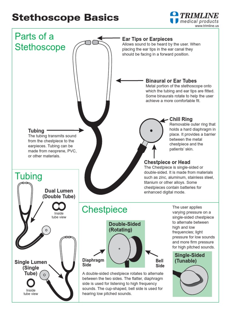 Stethoscope Basics PDF