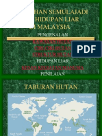 Tumbuhan Semulajadi 1