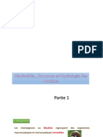 CM Structure Physiologie Des Mycetes Parties 1 Et 2 PDF