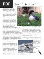 Download Sea Biscuit Wildlife Shelter Newsletter Dec 2009 by hfhurricanes SN25031377 doc pdf