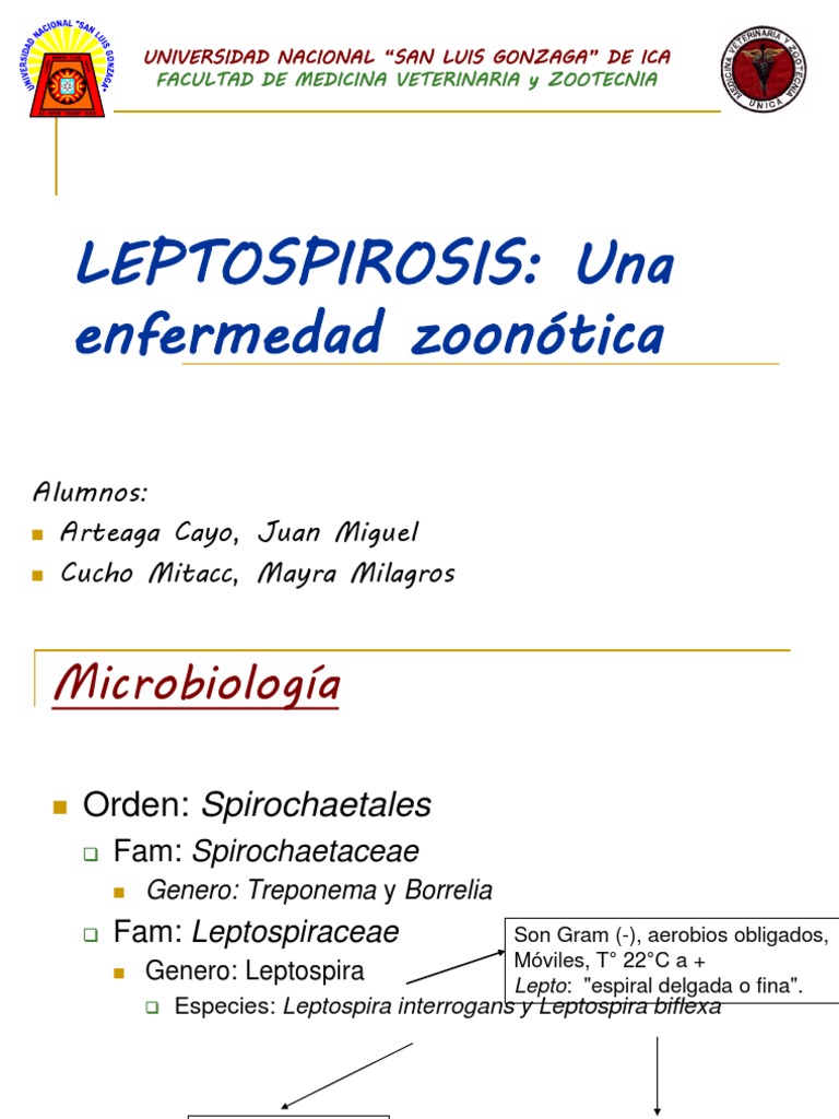 LEPTOSPIROSIS ppt Microbiolog a Especialidades Medicas