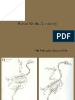 Basic Birds Anatomy: PHD Aleksander Chrószcz DVM