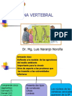 Col Vertebral  2013.pdf