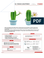 Cactus: Columnar Cactus (Pattern) : Instructions Assembly Tip