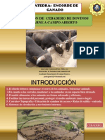 Diseño de Instalaciones Pra Vacunos de Carne PDF
