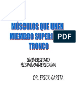 Musculo Unen Superior Al Torax