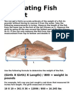 Estimating Fish Weight - Copy.doc