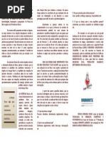 Florais de Bach Folder Costa