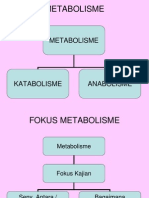 Bagan Konsep Metabolisme