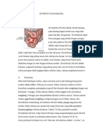 Diverticulum Meckel