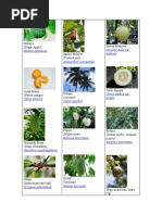 Download Nama Ilmiah n Latin Tumbuhan by gita91 SN25036901 doc pdf