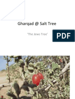 Gharqad at Salt Tree 2003