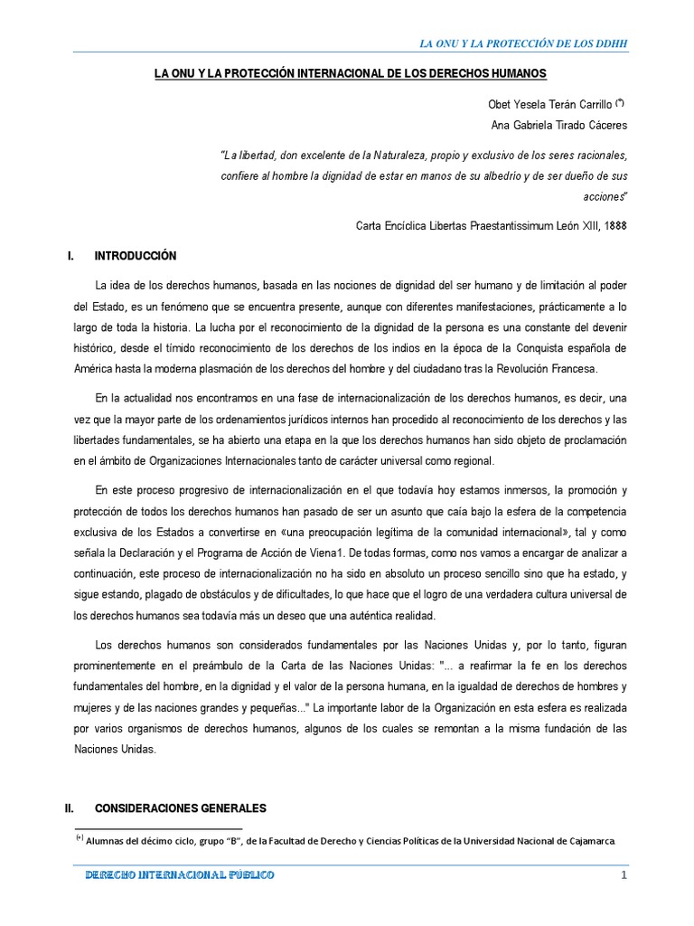 ONU y la Protección de Derechos Humanos | PDF | Derechos humanos | Dignidad