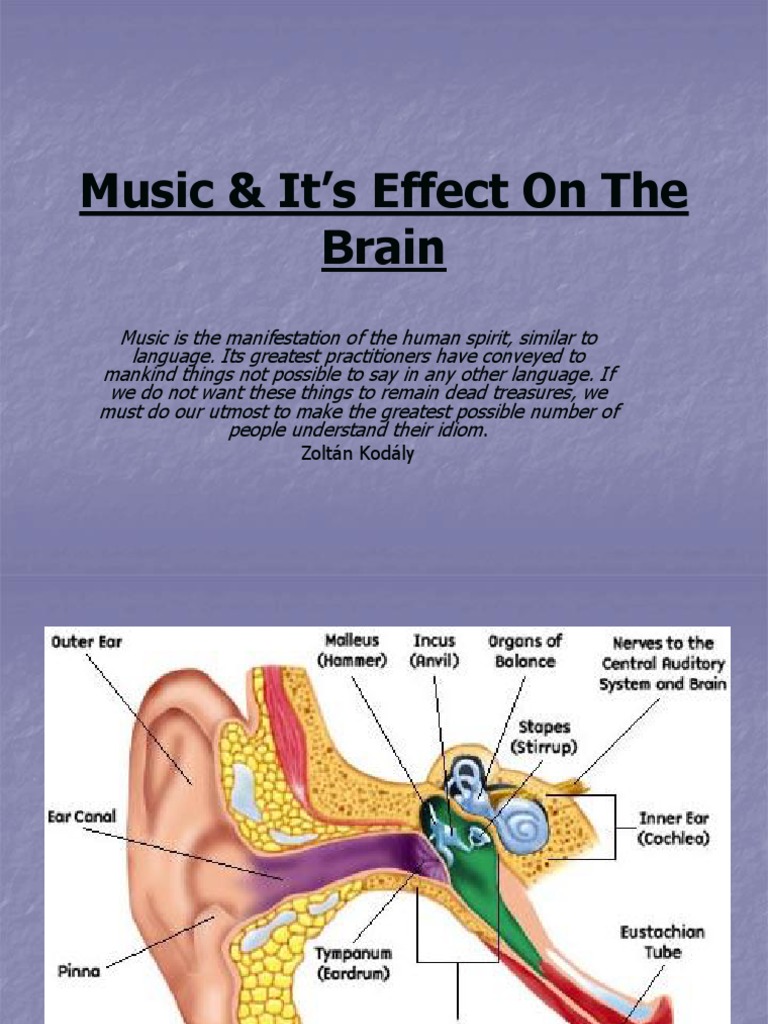 Music & It's Effect On The Brain: - Zoltán Kodály | PDF | Rhythm | Emotions