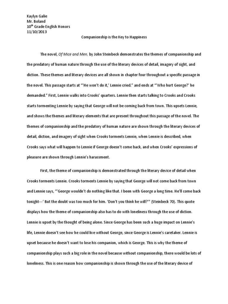 english omam theme and literary devices essay