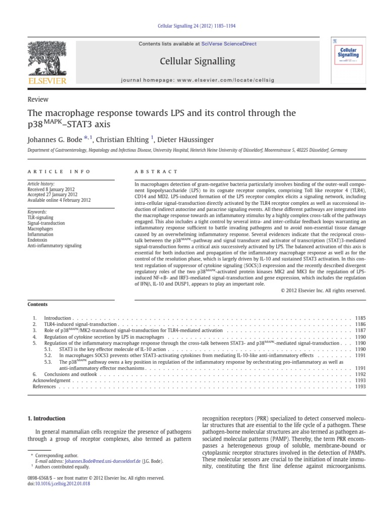Macrophage Response Towards LPS | PDF | Interleukin 10 | Toll Like Receptor