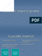 tulburari