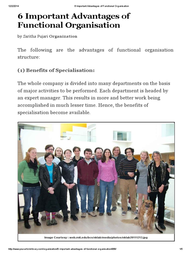 6 Important Advantages of Functional Organisation | PDF ...