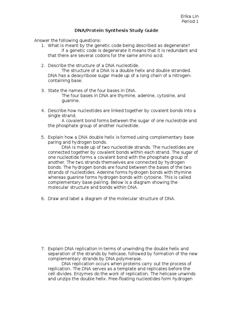 7 DNA Protein Synthesis Study Guide PDF Dna Rna