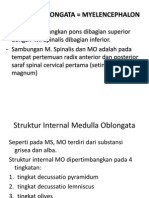 Medulla Oblongata Myelencephalon