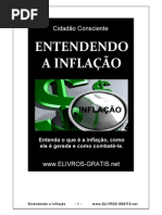 Entendendo a Inflacao