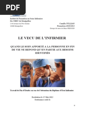 Tfe Camille Jullian Pdf Soins Palliatifs Allaitement