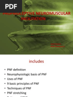Download Pnf by gialinu SN250421713 doc pdf