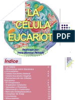 La Célula Eucariota