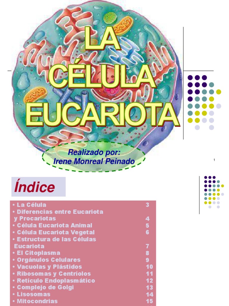 Estructura de Células Eucariotas | PDF | Citoplasma | Biología Celular)