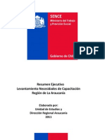 Resumen Ejecutivo Levantamiento Necesidades de Capacitación Región de La Araucanía 2011