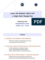 Linear and Nonlinear Optics With A Single Metal Nanoparticle