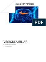 Vesicula Biliar y Pancreas UVERSION