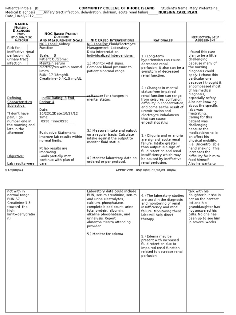 Nursing Care Plan#2kidney | PDF | Renal Function | Kidney