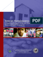 2010 a Har Veterans Report