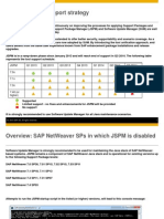 JSPM Support Strategy PDF