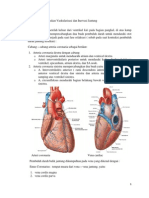 Vaskularisasi dan Inervasi Jantung