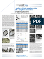 Injection of sodium silicate solutions into rock salt - long-term behaviour