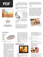 Download LEAFLET KANKER PAYUDARApdf by Ria SN250468164 doc pdf