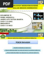 Download KELOMPOK VI - Peran Mikroorganisme Dalam Bidang Kesehatan by Benny Hermawan SN250470485 doc pdf