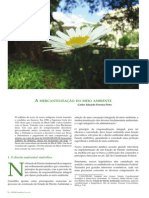 A Mercantilização Do Meio Ambiente - Pinto PDF