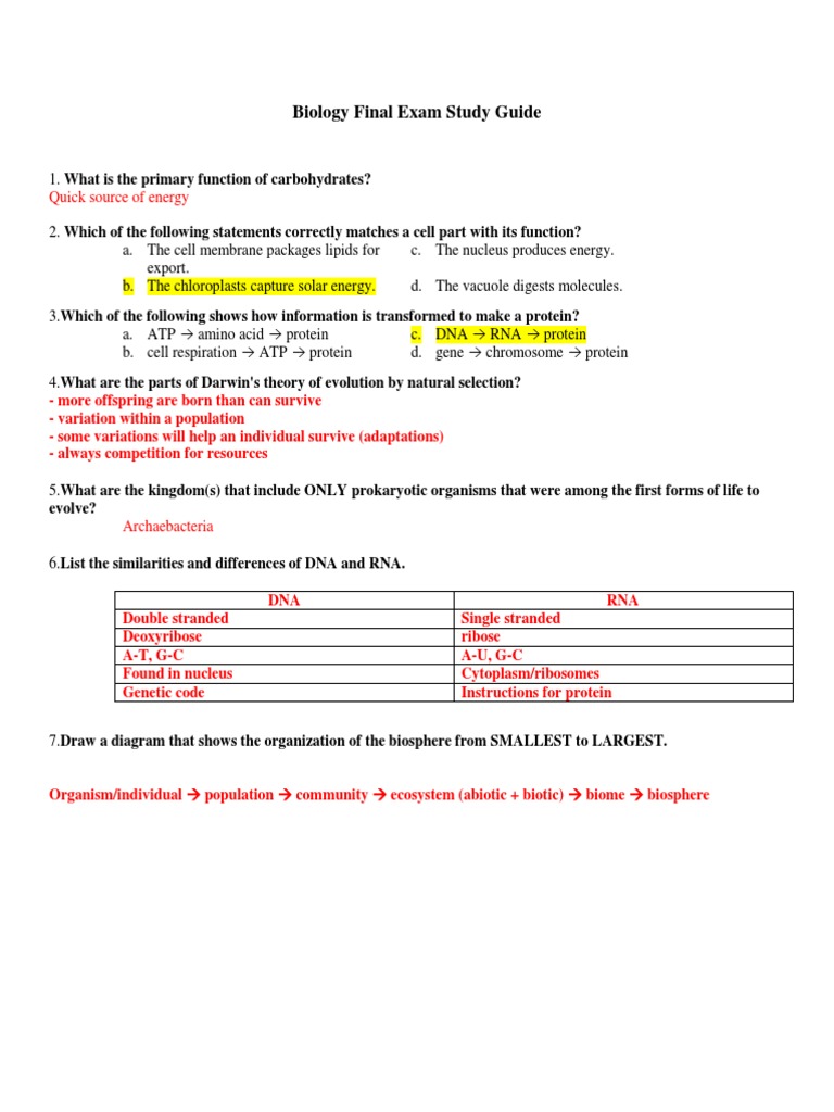 Biology Final Exam Study Guide | PDF | Ploidy | Cell (Biology)