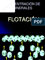 Flotacion